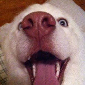 Meet your Posher, Gabi